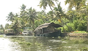 Backwater- Kumarakom